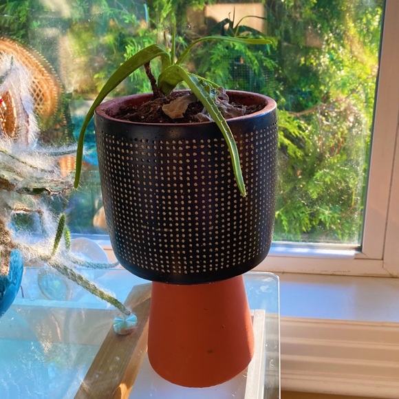 Handmade By Me Planter Terracota Dot 🔮 - Picture 12 of 16